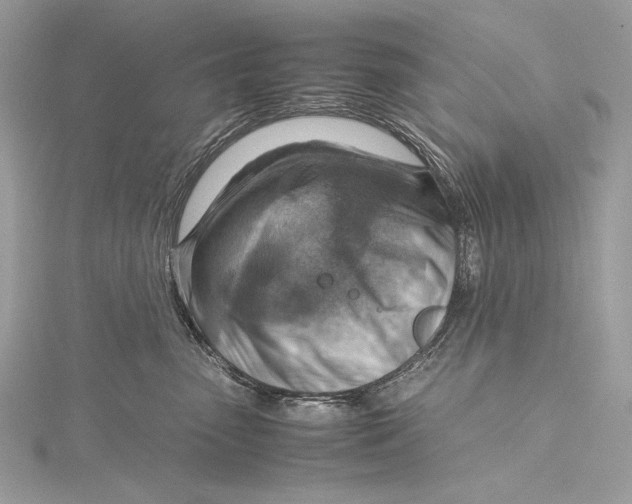 X0000115800475200912041537