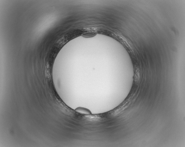 X0000115800477200912041537