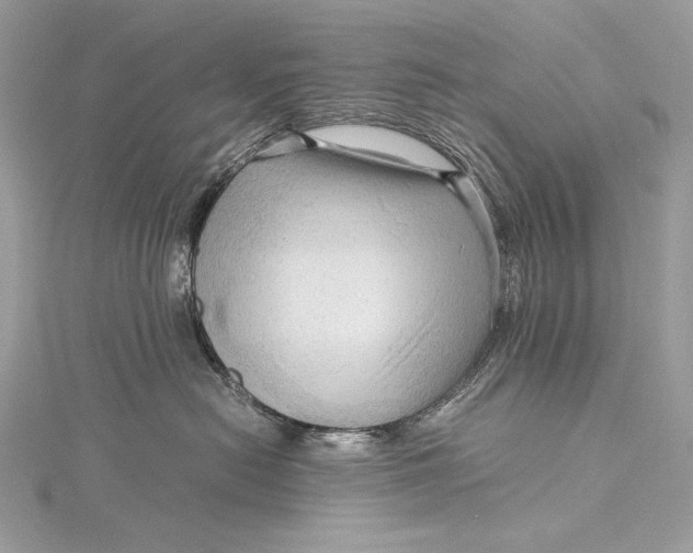 X0000115800478200912041537