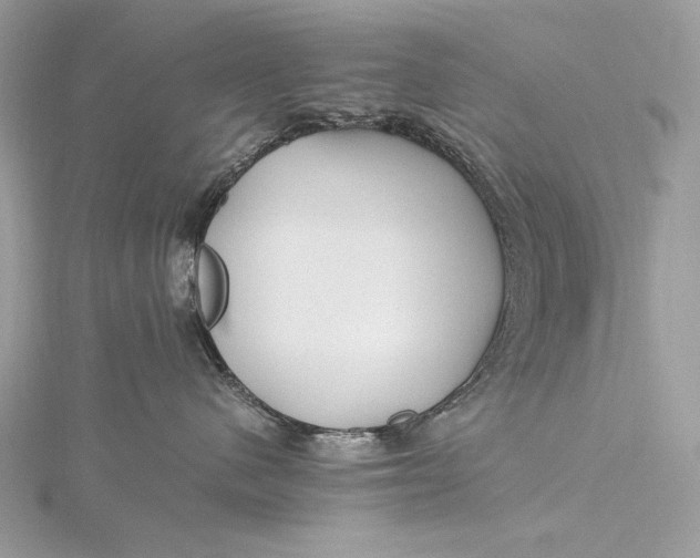 X0000115800480200912041537