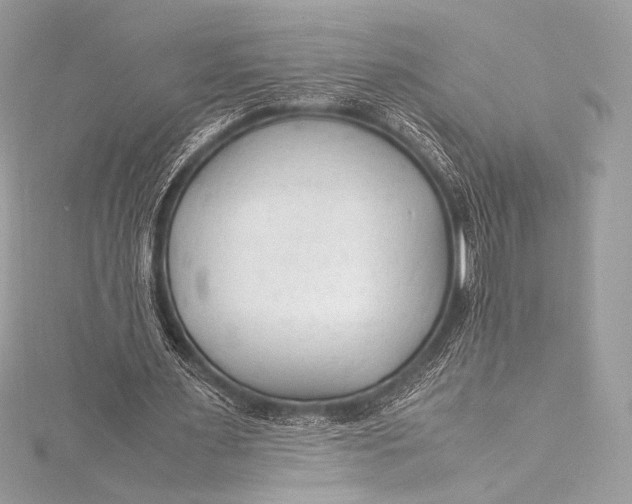 X0000115800483200912041537