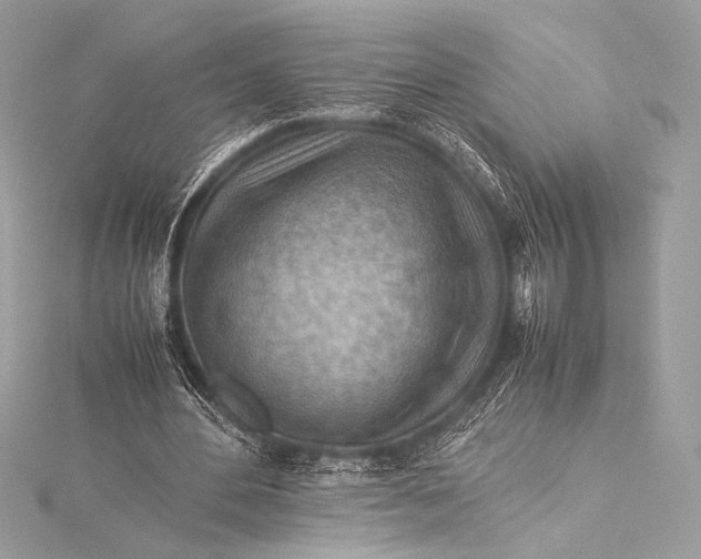 X0000115800484200912041537