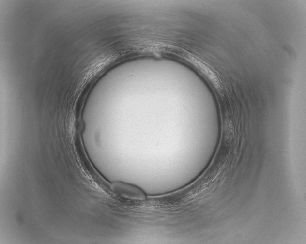 X0000115800485200912041537