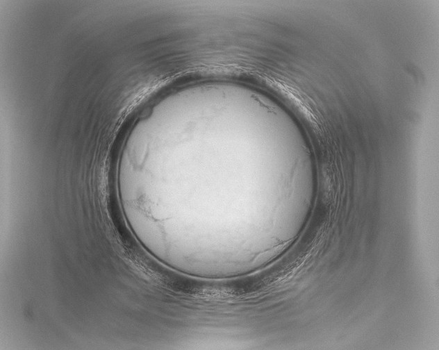 X0000115800487200912041537