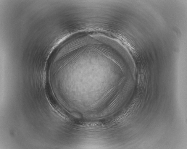 X0000115800488200912041536