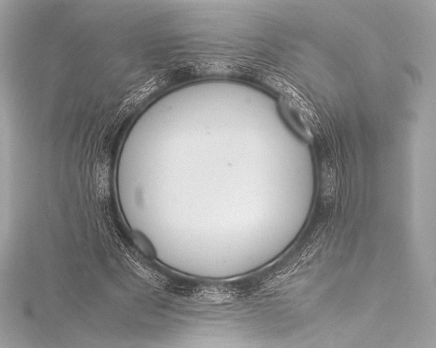 X0000115800489200912041536