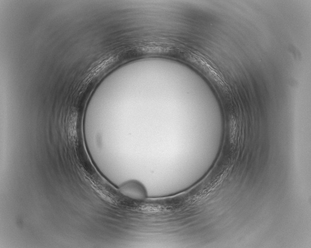 X0000115800490200912041536