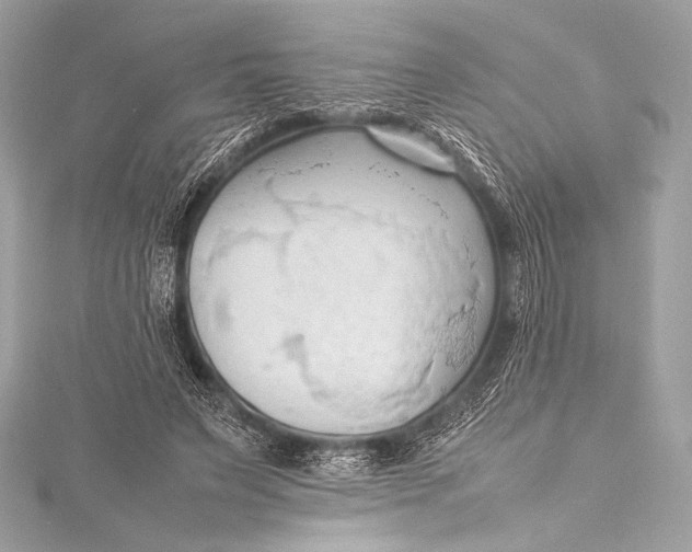 X0000115800495200912041536