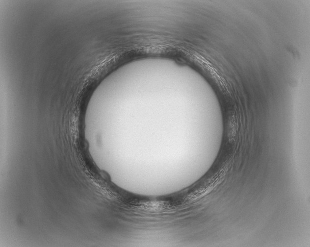 X0000115800497200912041536