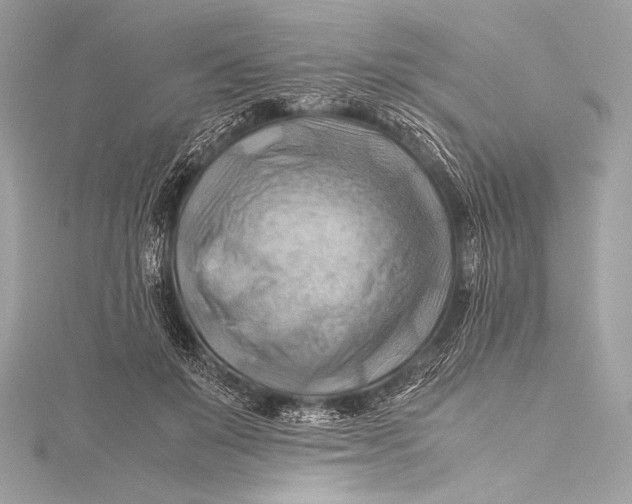 X0000115800503200912041536