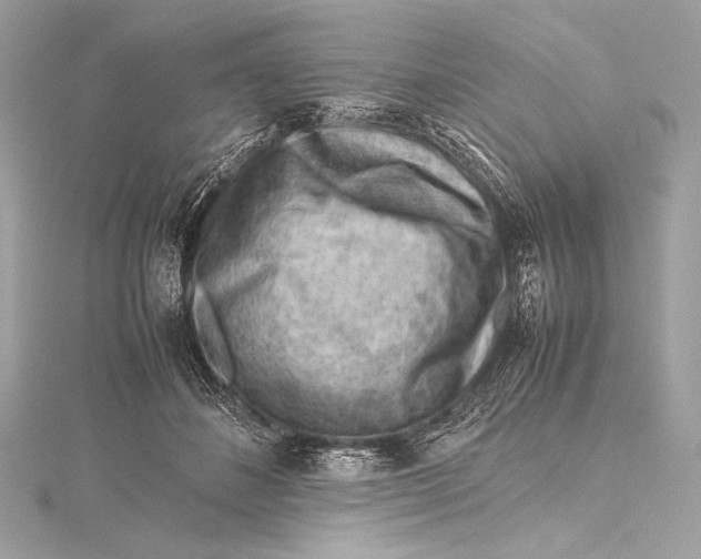 X0000115800508200912041536