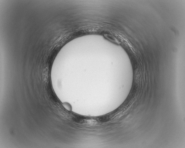 X0000115800509200912041536