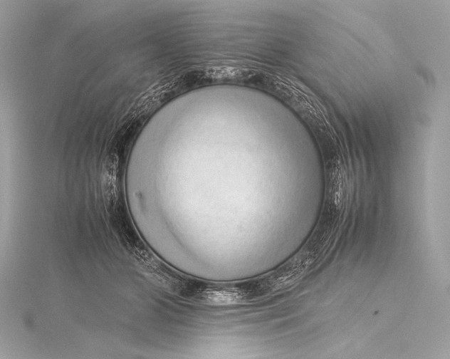 X0000115800510200912041536