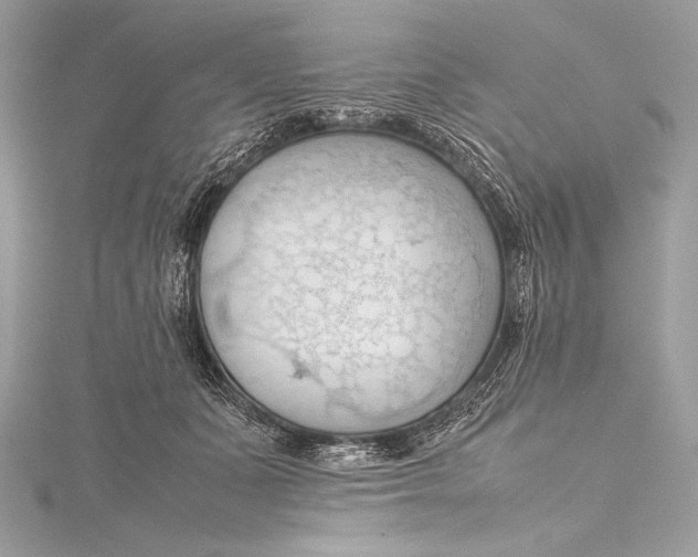 X0000115800511200912041536