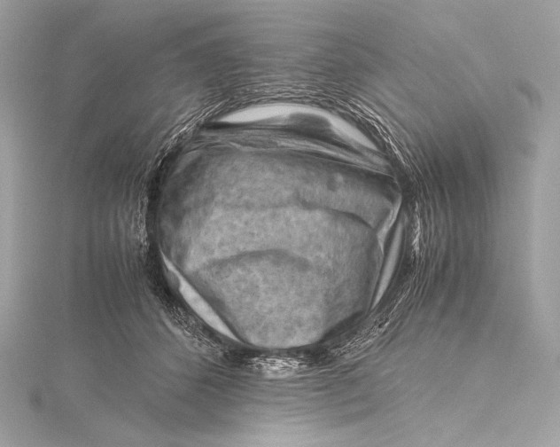 X0000115800512200912041536