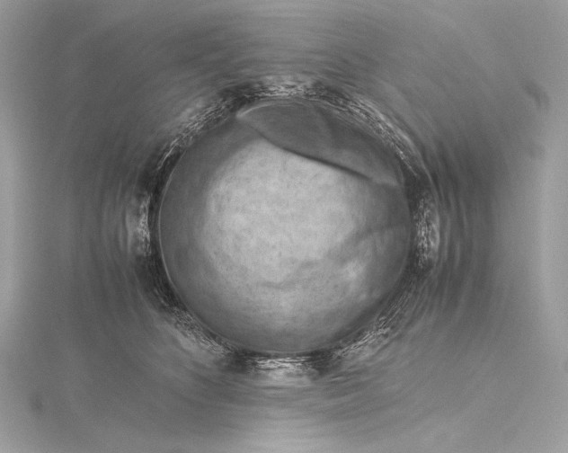 X0000115800516200912041536