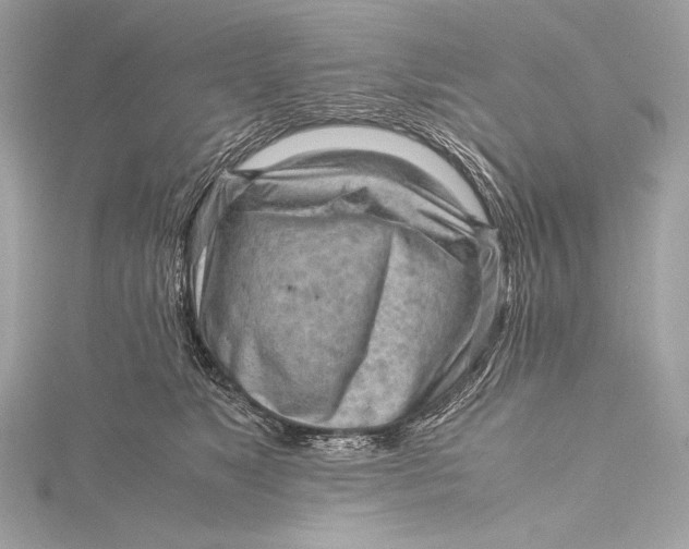 X0000115800517200912041536