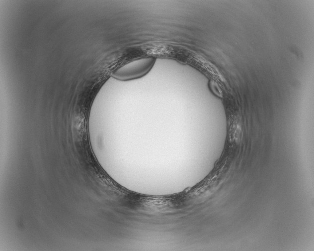 X0000115800521200912041536