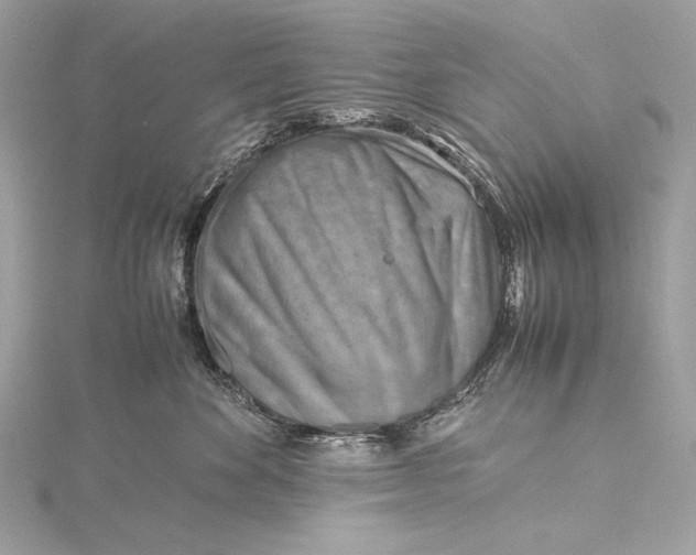 X0000115800524200912041536