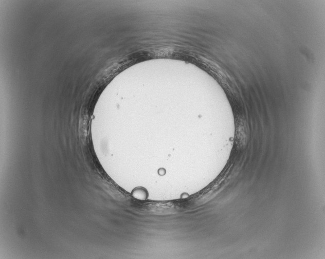 X0000115800525200912041536