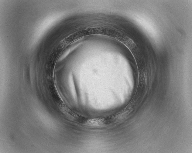 X0000115800526200912041536