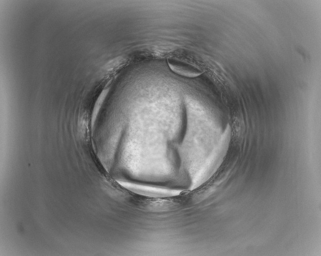 X0000115800527200912041536