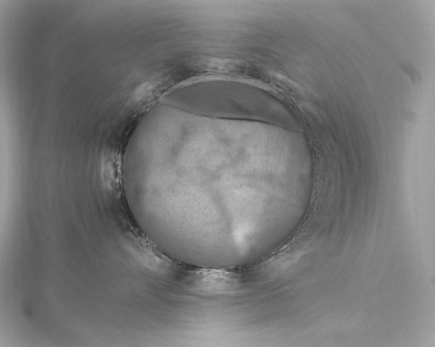 X0000115800528200912041536