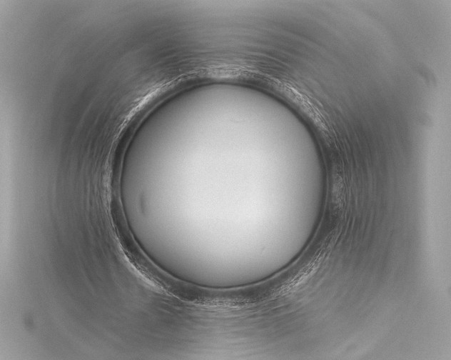 X0000115800530200912041535