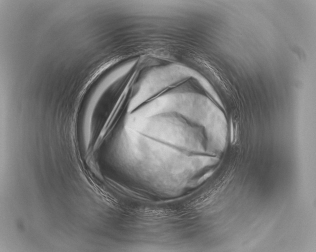 X0000115800531200912041535