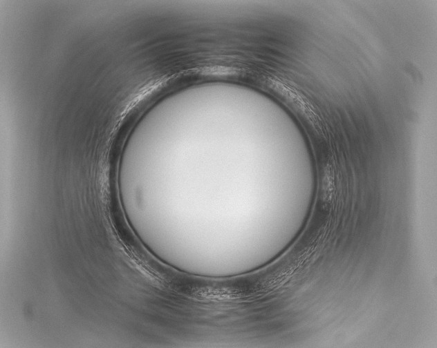 X0000115800535200912041535