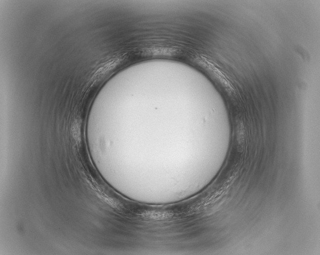 X0000115800537200912041535