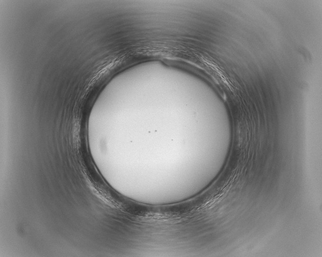 X0000115800538200912041535