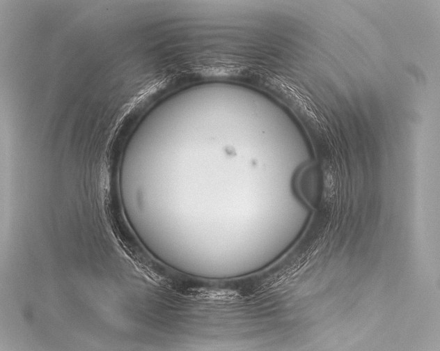 X0000115800539200912041535