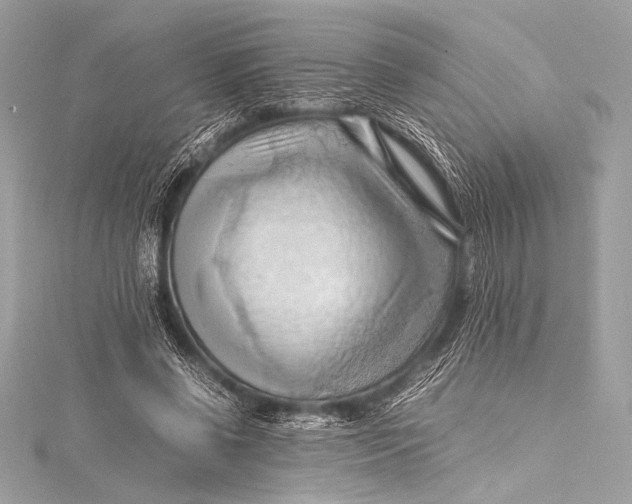 X0000115800542200912041536