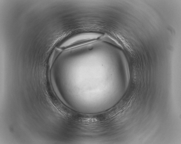 X0000115800543200912041536