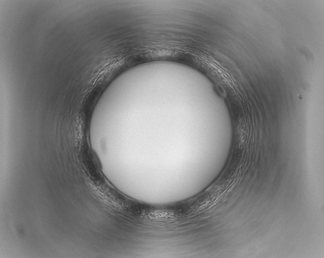 X0000115800546200912041536