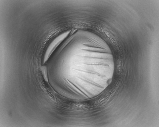 X0000115800547200912041536