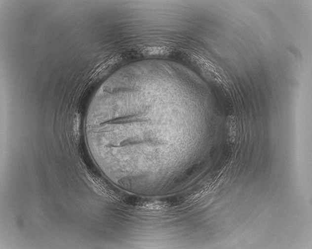 X0000115800550200912041536