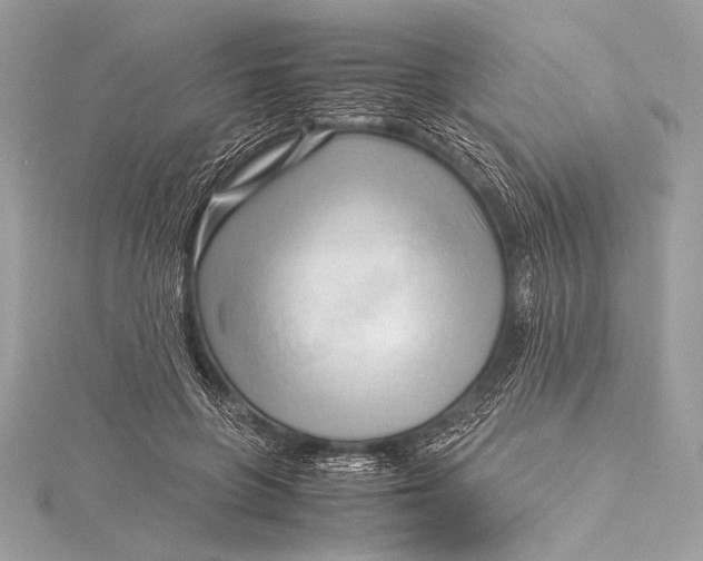 X0000115800551200912041536