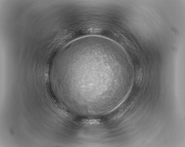 X0000115800553200912041536