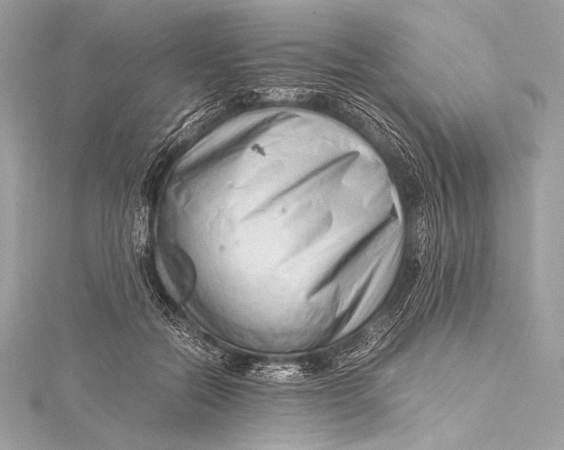 X0000115800554200912041536