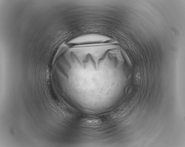 X0000115800555200912041536