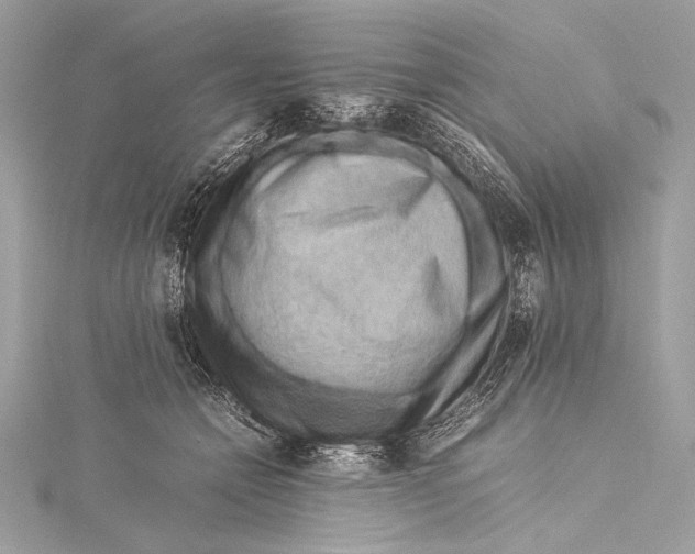 X0000115800558200912041536