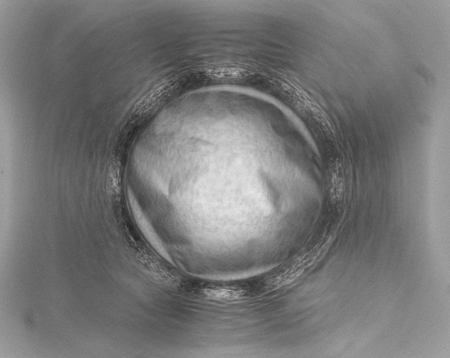 X0000115800561200912041536