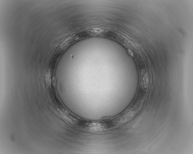 X0000115800562200912041536