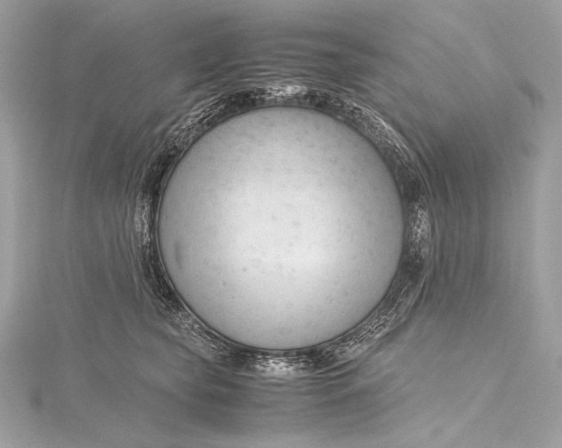 X0000115800565200912041536