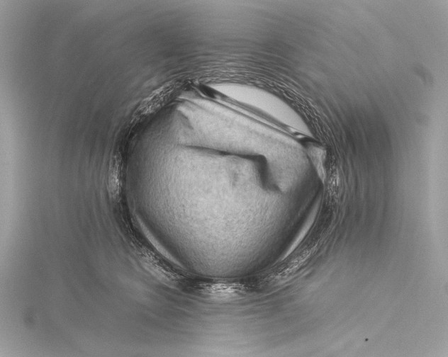 X0000115800566200912041536