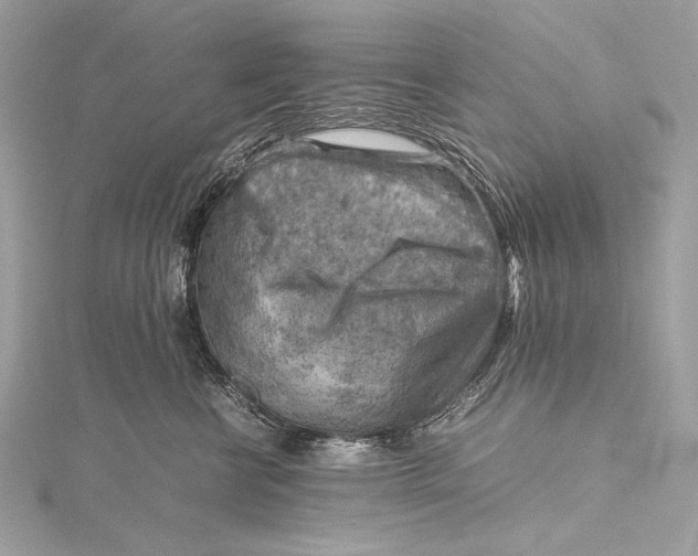 X0000115800570200912041536