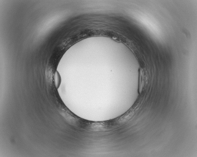 X0000115800574200912041536