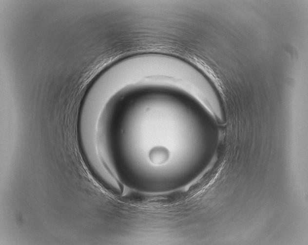 X0000115800577200912041535